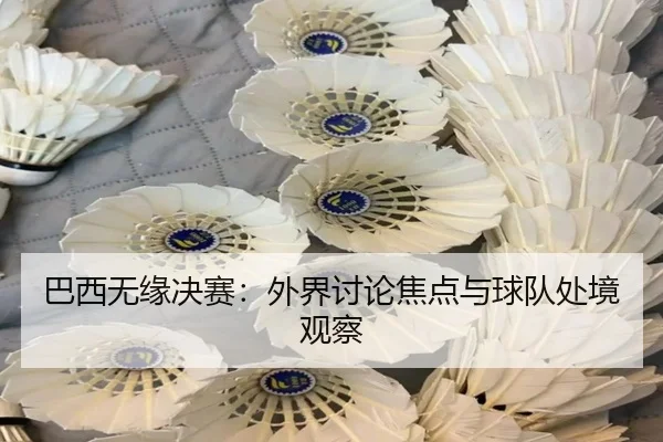ba-xi-wu-yuan-jue-sai-wai-jie-tao-lun-jiao-dian-yu-qiu-dui-chu-jing-guan-cha-2-842.jpg
